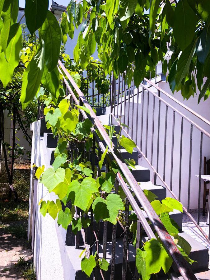 Renata Holiday Apartments Ülgün Dış mekan fotoğraf
