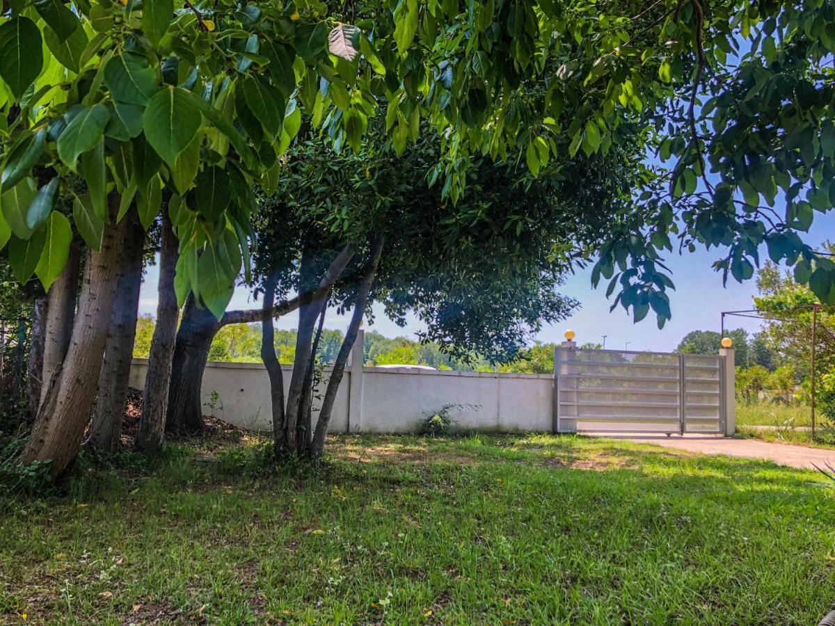 Renata Holiday Apartments Ülgün Dış mekan fotoğraf